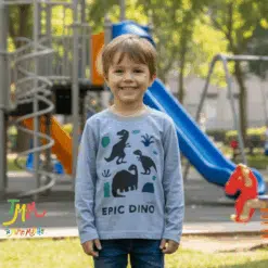Remera Dino Niño Gris
