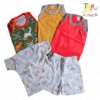 Set TALLE 1- 5 PRENDAS BEBE POR FALLA  - art 347