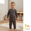 Conjunto Morley  Dino gris