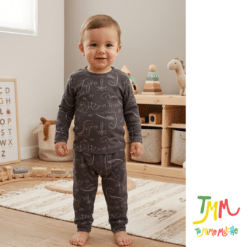 Conjunto Morley  Dino gris
