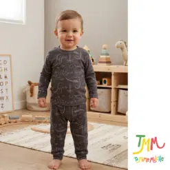 Conjunto Morley  Dino gris