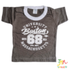 Remera Manga Corta Boston Verde